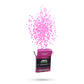10K GEL BALLS (Pink)
