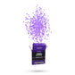 10K GEL BALLS (Purple)